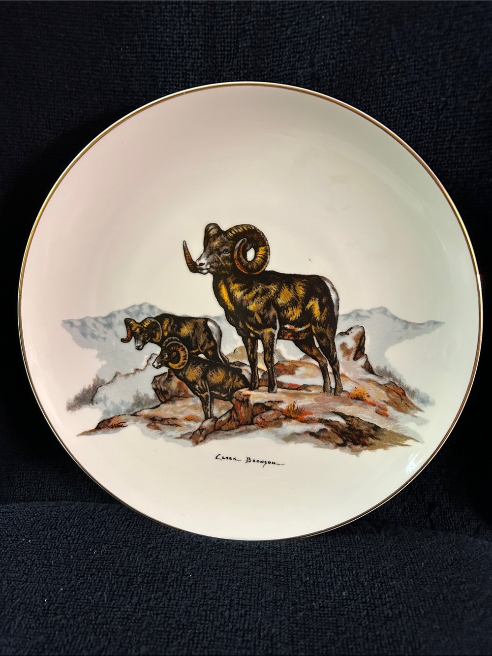 Clark Bronson Limited Edition Collector’s Plate - Big Horn Sheep